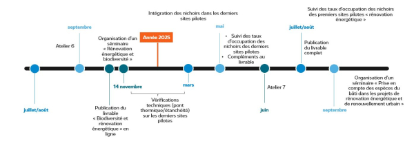 Frise chronologique 2024-2025